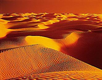 光荣特库摩决定参展「东京电玩展2024」 同步公开参展作品与直播节目信息