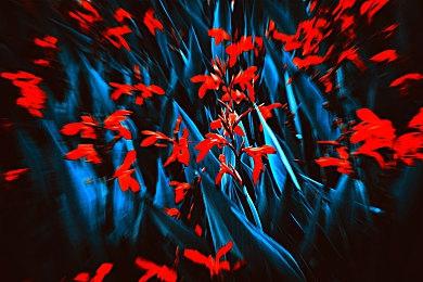 《妖精剑士F：Refrain Chord》公开 “技能”篇预告